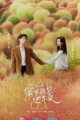 优化推广seo网站排名